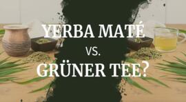 Yerba Maté vs. grüner Tee: welcher ist gesünder?  