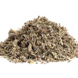 Salbei (Salvia officinalis) - Kraut