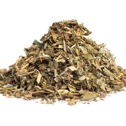 SPITZLAPPIGER FRAUENMANTEL (Alchemilla vulgaris) - Kraut