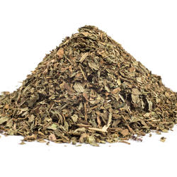 BASILIKUMBLATT - KRAUT (Ocimum basilicum)