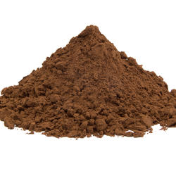 GLÄNZENDER LACKPORLING Pilz (Ganoderma Lucidum) – BIO Pulver 