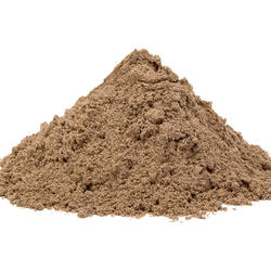 GINKGO BILOBA – Pulver
