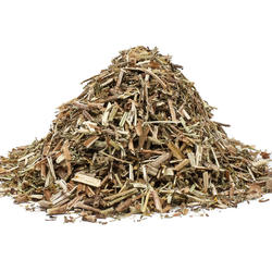 ECHTES LABKRAUT (Galium verum) – Kraut 