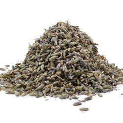 ECHTER LAVENDEL BLÜTE (Lavandula angustifolia) – KRAUT 