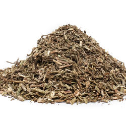 ECHTES EISENKRAUT (Herba verbenae) – Kraut