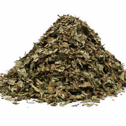LÖWENZAHN BLATT (Taraxacum officinale) - Krautige Pflanze