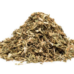 GEISSRAUTE - KRAUT (Galega officinalis) - Krautige Pflanze