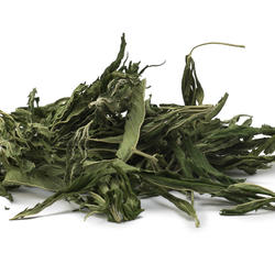 HANF DER SORTE FELINA von Hand bearbeitet - CBD 528 mg/kg