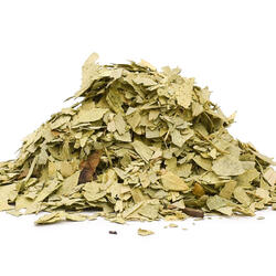Sennesblatt (Cassia angustifolia) - Kraut