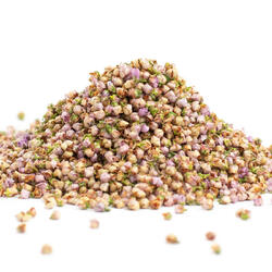 Heidekrautblüten (Calluna vulgaris flos) - Kraut
