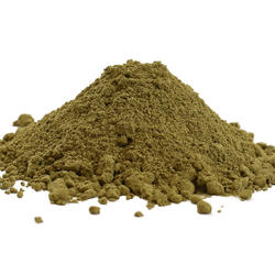 Imuno Tandem – Matcha & Adaptogene Pilze BIO