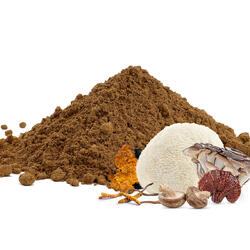Adaptogene Mischung aus 6 Pilzen – Pulver