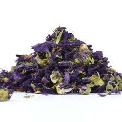 MAURETANISCHE MALVE BLÜTE (Malva mauritiana) – Kraut