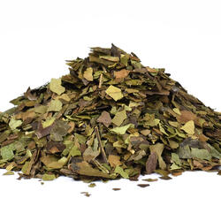 GUAYUSA-TEE (ILEX GUAYUSA)